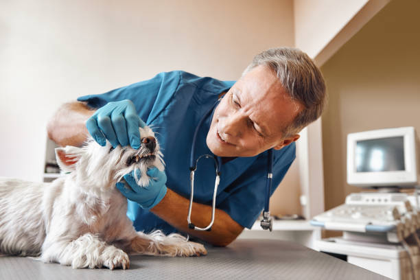Best Pediatric Emergency Dentist in Shallotte, NC